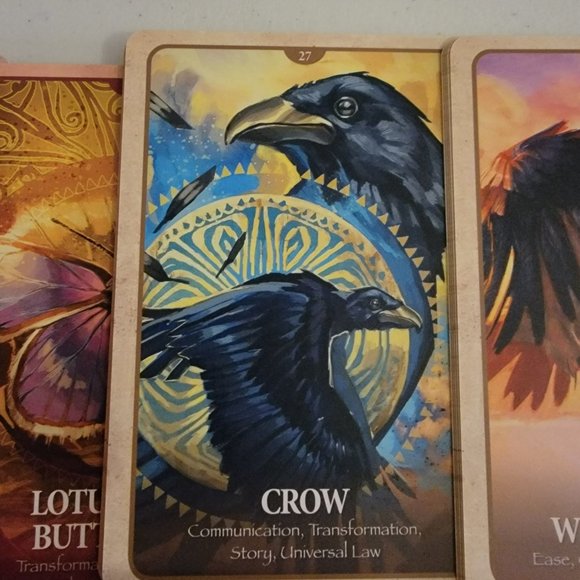 Oracle Cards The Secret Language of Animals - New - Picture 6 of 8